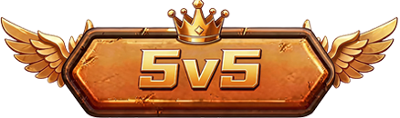 5v5